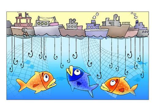 OVER-FISHING: WHEN MORE FISH ARE REMOVED FROM