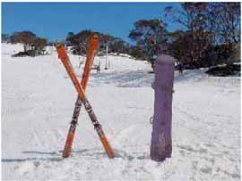 Policy on the use of Toboggans at Perisher Perisher is committed to providing a safe environment for its employees, contractors, visitors and guests.