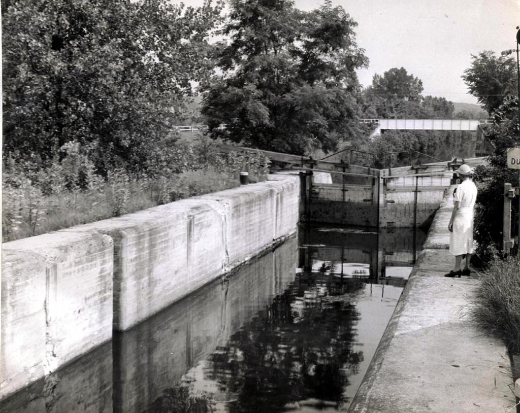 The construction of the Champlain Canal connected the Hudson and Champlain Valleys, allowing natural resources from northern New England to profit American industry.