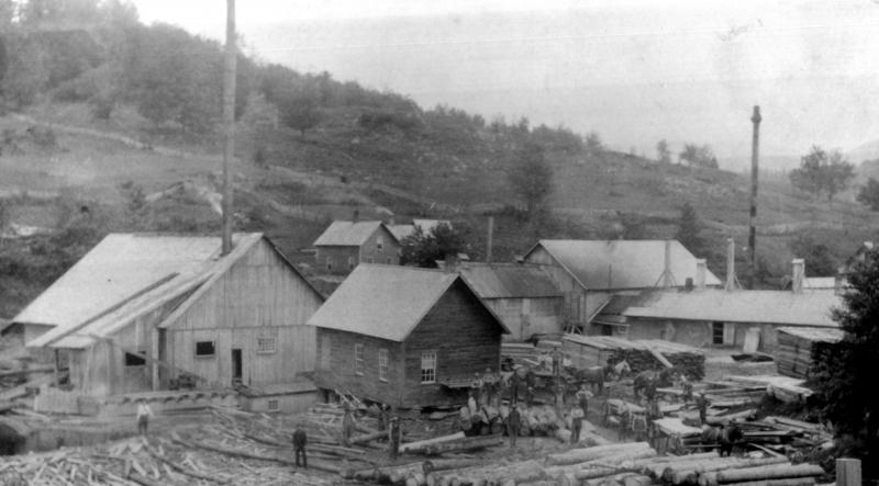 The opening of the Champlain Canal allowed extractable industries such as, stone quarrying, timber cutting, and iron mining to boom. The image above was taken in Lowell, VT between 1860 to 1900.