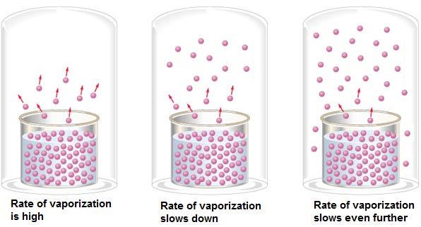 Factors Affecting Rate of Evaporation: 4.