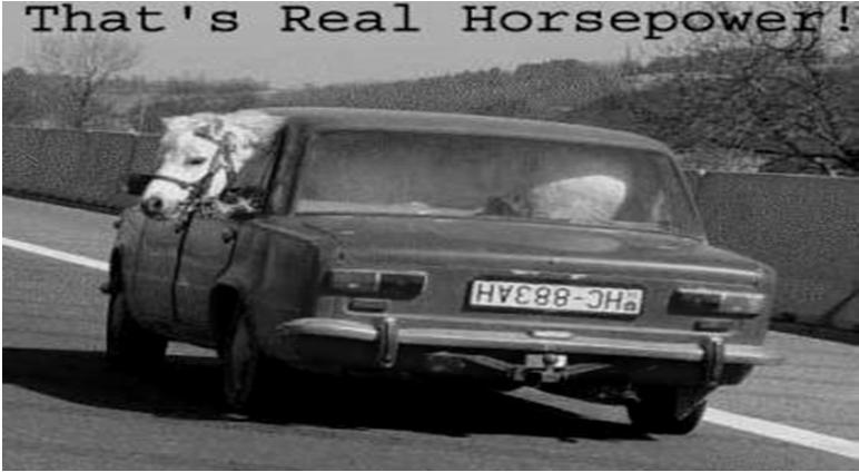 Don t let your horse take you for an unexpected ride!
