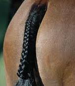 tail Example of plaited
