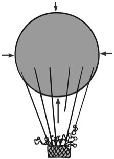 Buoyancy in a Gas Archimedes' principle applies to fluids liquids and gases alike. Force of air on bottom of balloon is greater than force on top.