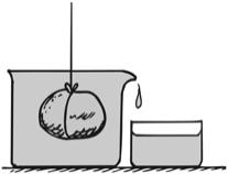 Archimedes' Principle Displacement rule: A completely submerged object always displaces a volume of liquid equal to its own volume.