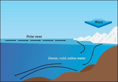 5. Amount of Salt When ocean water evaporates, salt is left behind The remaining water is more dense The dense seawater sinks,