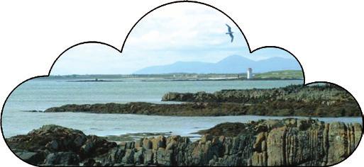 15 August from 3:00pm - 4:00pm Join Judith Caldwell from the Strangford Lough and