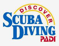 You feel safe, confident and rather pleased with yourself that you are mastering the skills of scuba diving!