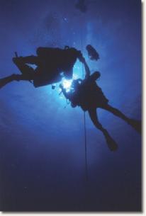 an inexpensive choice. Achieve recognition as a 'black belt' of recreational scuba diving.