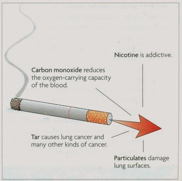 #83 Effects of tobacco smoke on the respiratory system Tobacco smoke contains irritants and carcinogens. Its 4 main toxic chemicals: carbon monoxide, nicotine, smoke particles and tar.