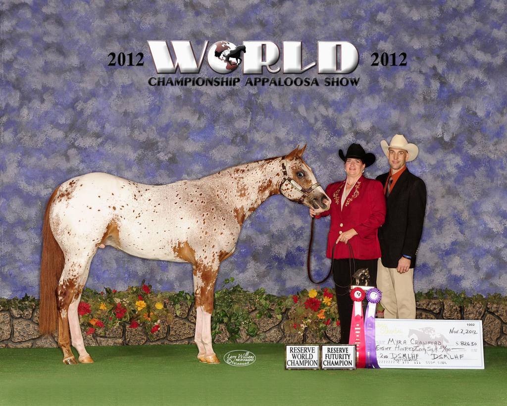 CONGRATULATIONS JJ PRINCE IMAGINATE 2012 World Appaloosa Show: Reserve World Champion Non Pro Most Colorful at Halter 7th Place Open Most Colorful at