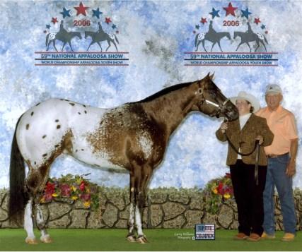 43 The Secret Is Out 2004 ApHC Bay w/blanket Sire: The Secret Dam: Approvals Bambi Owned By: Don & Linda Law Standing At: Butler, MO National Point Earner: 47 1/2 points in Open