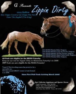 49 Zip To Sunny 1995 ApHC Chestnut with blanket Sire: Zippo s Sunny (AQHA) Dam: Sonny Royal Rosey Sold on 2011 Auction: $275 Owned By: Orlen Stolee Standing At: Radcliffe, IA Siring