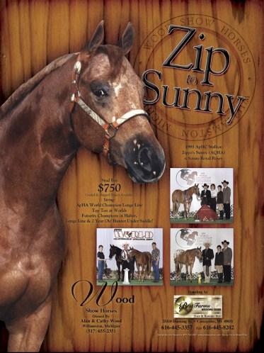 2013 50 Zippin Dirty 2005 ApHC Chestnut with blanket Sire: Zippos Country Cat (AQHA) Dam: TKS Rag Doll Shipped Semen: $300 collection + shipping Owned By: Crystal Moulds Standing