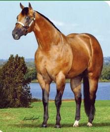 (Hall of Fame mare & mother of Colored By Charlie) Very talented and proving to be a great producer First foal crop is on the ground in 2012 Four Time World Champion Buckskin 2x IBHA World Champion