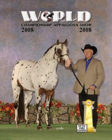 was 2nd in the Nation in 3 YO WP & 10th in the Nation in Junior WP - 2012 Leading the Nation in NP WT WP Watch for 2nd foal crop in LL in 2013 4 Choc Full Of Chips 1999 ApHC Sorrel