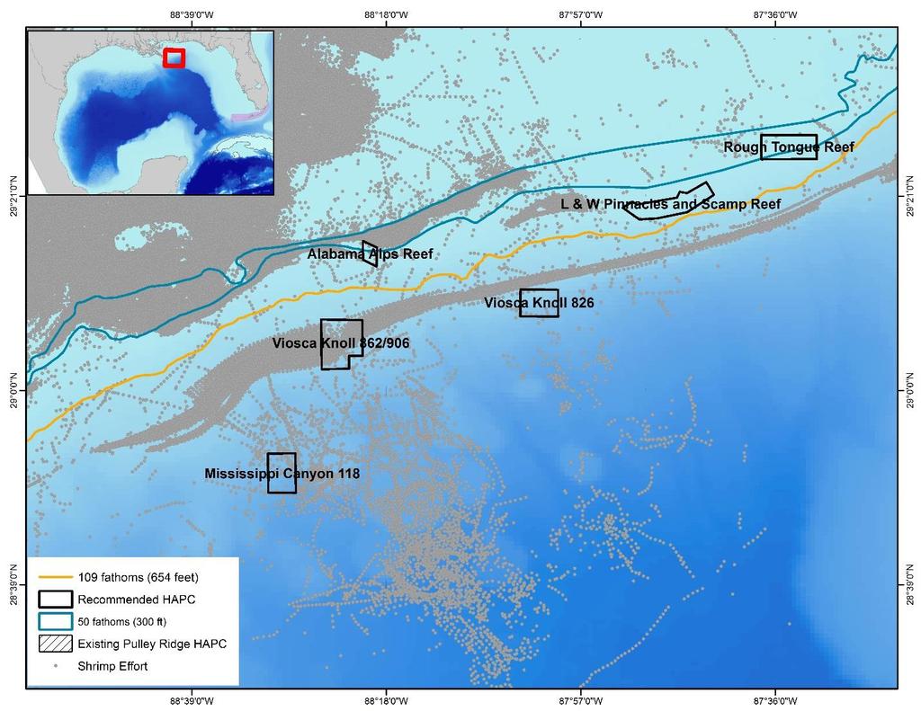 Figure 2. Priority areas for HAPC consideration in the northeastern Gulf of Mexico.