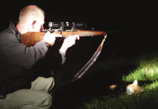 Fox shooters/lamping Lampers walk or drive around an area using a powerful lamp to locate foxes or rabbits which can be shot while held in the beam.