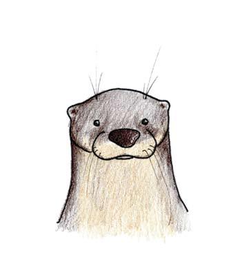 Questions About Otters. How Much Can You Remember? 1. Name 2 places where otters might live? 2. Name 3 things that otters can eat? 3. What is 1 thing that otters love to do? 4.