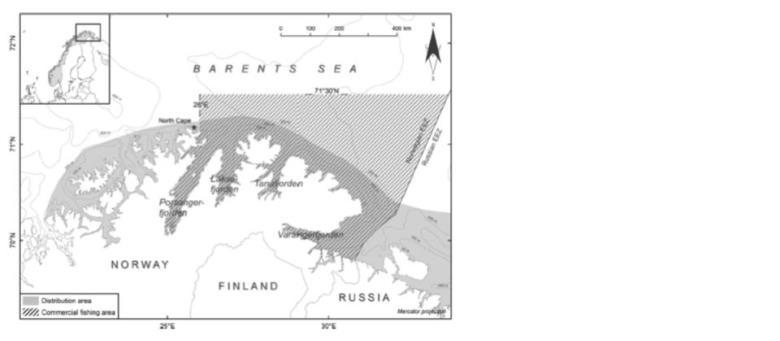 21 Figure 4: Current distribution of red king crab in Norwegian and adjacent waters. Area east of 26 is the quota fishing area (from Hjelset 2013; their Figure 1).