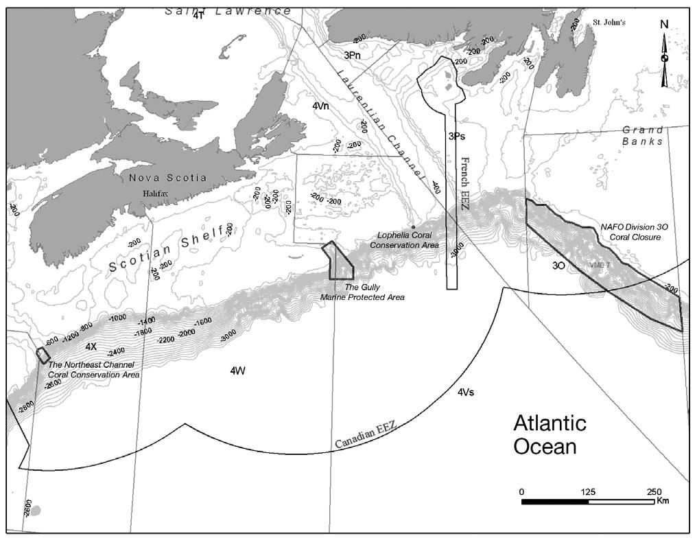 Brock et al.: Protecting cold-water corals in the North Atlantic 357 Fig. 1. Coral closure areas on the Scotian Shelf and Grand Banks (thick black lines).