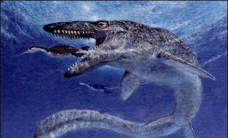Mosasaurus Mosasaurus Gargantuan beast, unaligned Armor Class 13 (natural armor) Hit Points 247(15d20 + 90) Speed 0 ft., swim 50 ft.