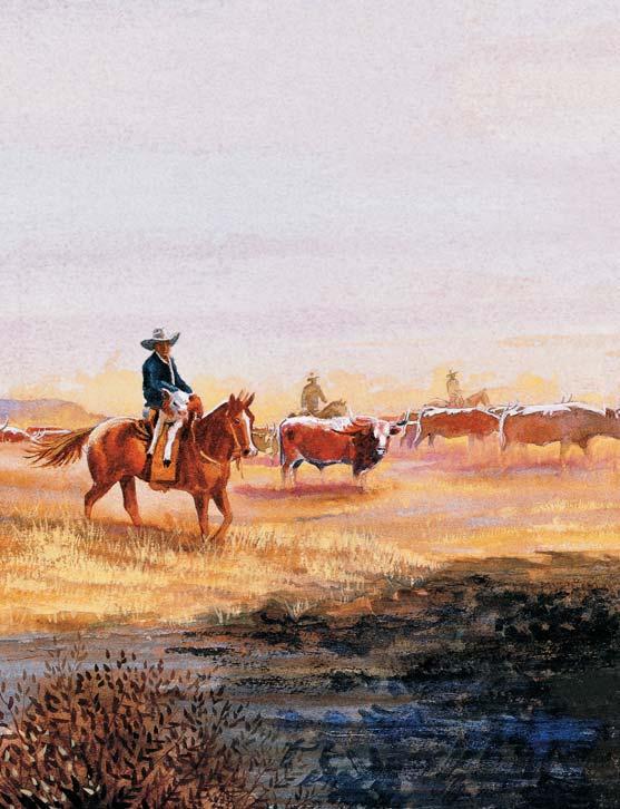 What else did a cowboy need on his trail? A good horse. Cowboys spent the whole day on horseback. They rode little horses called cow ponies. A good cow pony was fearless.