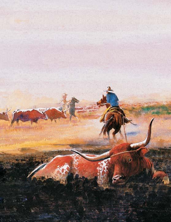 Every day the herd tramped the hot, dry plains. Two or three big steers were the leaders. They always walked in front. The cowboys got to know them well.