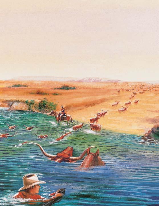If a cowboy fell into the water, he grabbed the horse s tail and held on tight until they reached shore. Trail drives often went through Indian Territory.