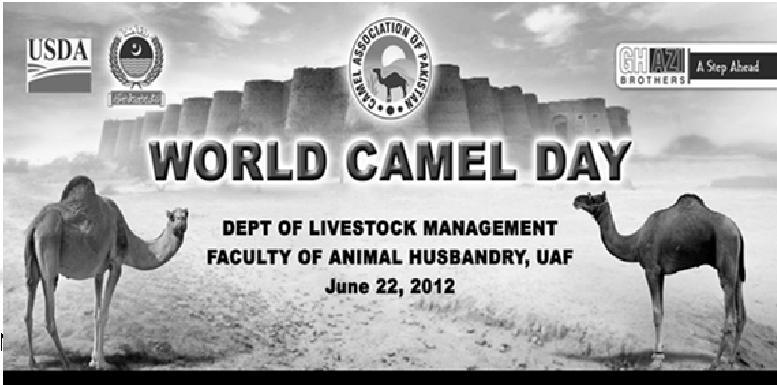 CAMEL DAY