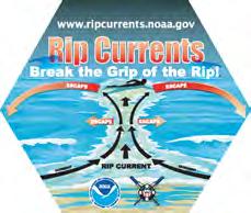 Rip currents Rip currents account for over 80% of rescues performed by life guards. About 100 people die each year in the US because of rip currents. www.ripcurrents.noaa.