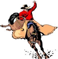 JR RODEO ENTRY FORM All safety equipment which includes a vest and helmet will be provided or you may bring your own.