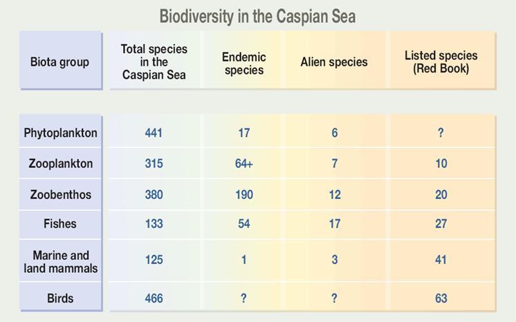 Biodiversity in the Caspian Sea Source: Transboundary Diagnostic Analysis for the Caspian Sea, Caspian Environment Program, 2002.