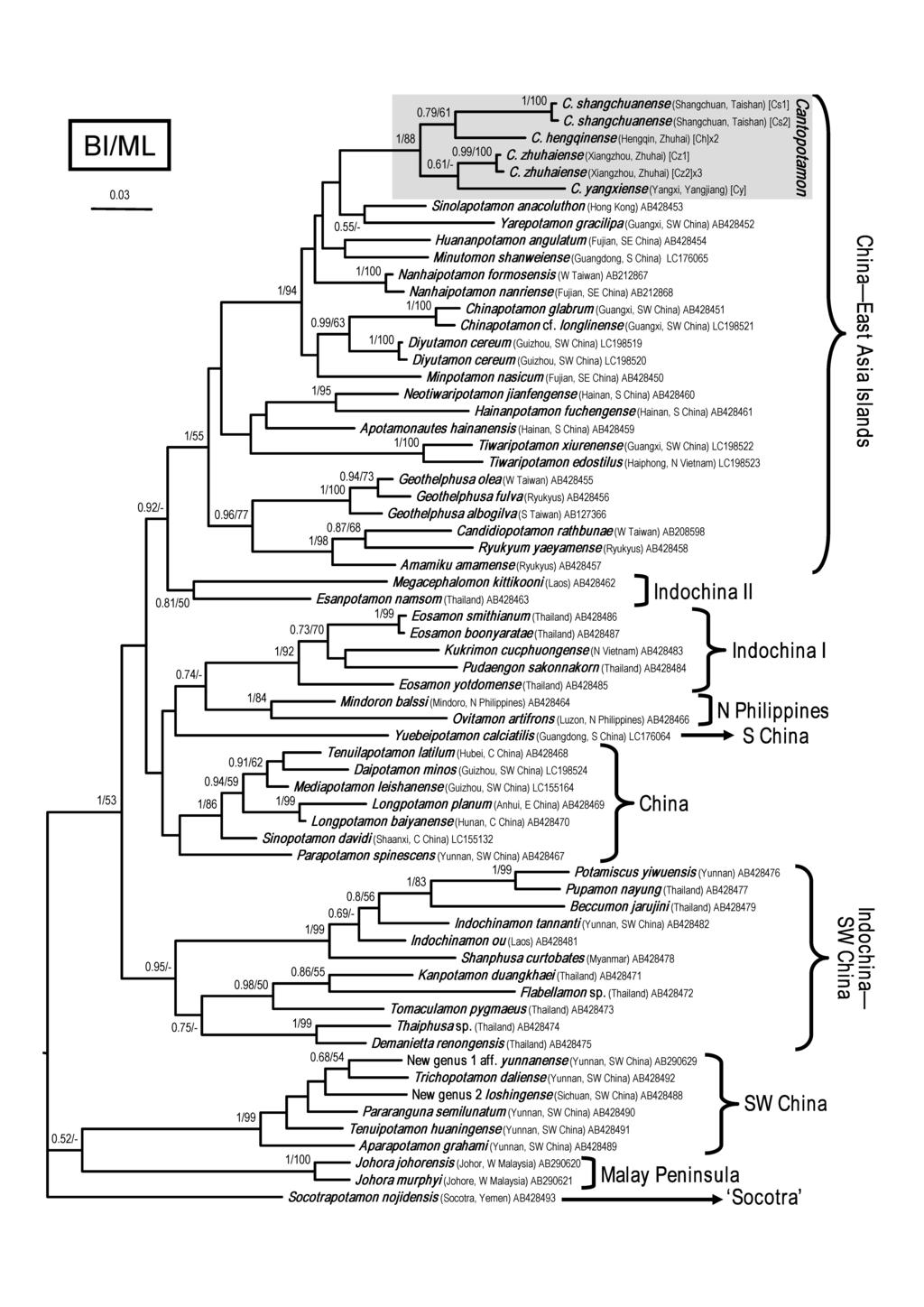Zoological Studies 56: 41 (2017) page 17 of 20 Fig. 13. Bayesian inference (BI) tree of 16S rdna for the subfamily Potamiscinae, with the sequences and accession numbers in Shih et al.