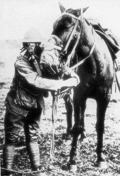 In 1914, the Ottoman Turks began the war with one cavalry regiment in the Turkish army corps and four reserve regiments (originally formed in 1912) under the control of the Turkish Third Army.
