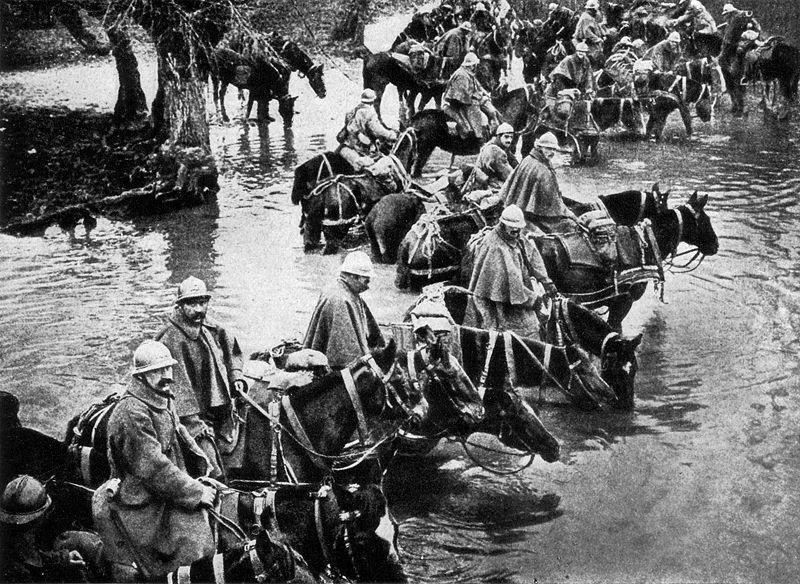 Before the war began, many continental European armies still considered the cavalry to hold a vital place in their order of battle. France and Russia expanded their mounted military units before 1914.