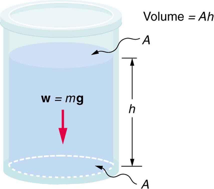FIGURE 11.10 The bottom of this container supports the entire weight of the fluid in it.