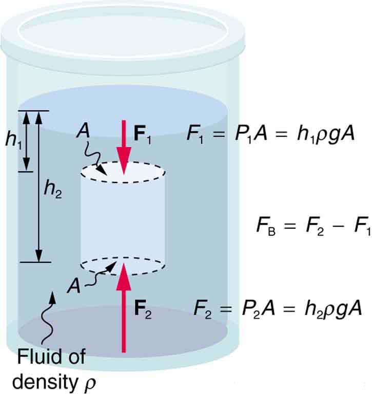 Pressure due to the weight of a fluid increases with depth since P = hρg.