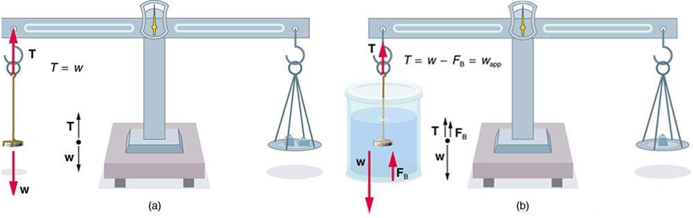 FIGURE 11.25 (a) A coin is weighed in air.