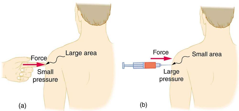 FIGURE 11.6 (a) While the person being poked with the finger might be irritated, the force has little lasting effect.