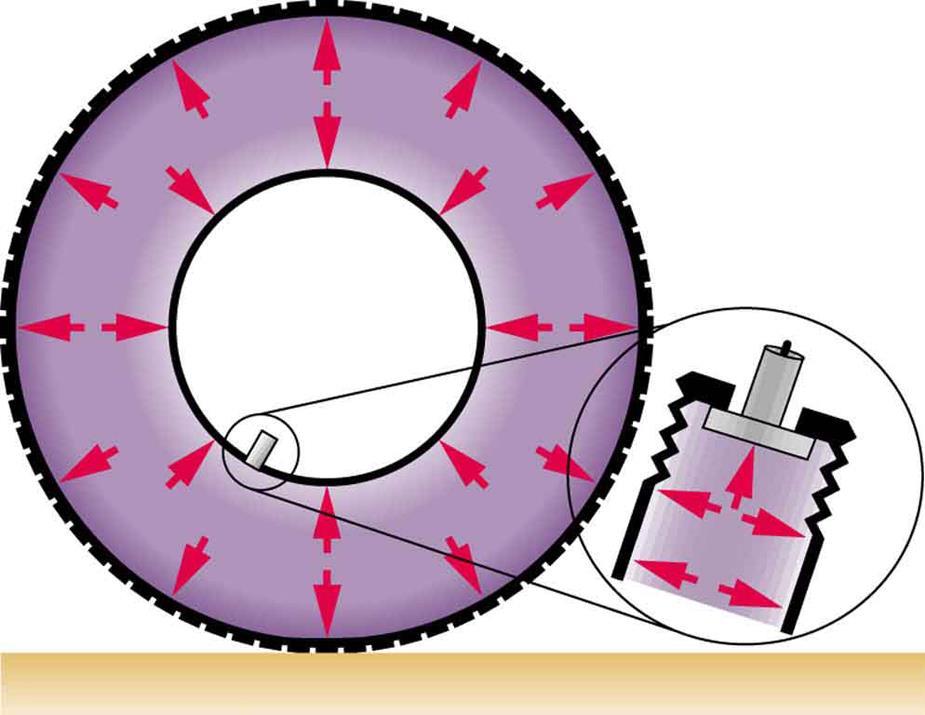 FIGURE 11.7 Pressure inside this tire exerts forces perpendicular to all surfaces it contacts.