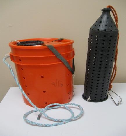 FIGURE 1. Standard Korean-style trap (right) with 6.4-mm holes and an 18.9-L bucket trap (left). The trap on the left is an example of one of the 16-mm hole diameter test traps.