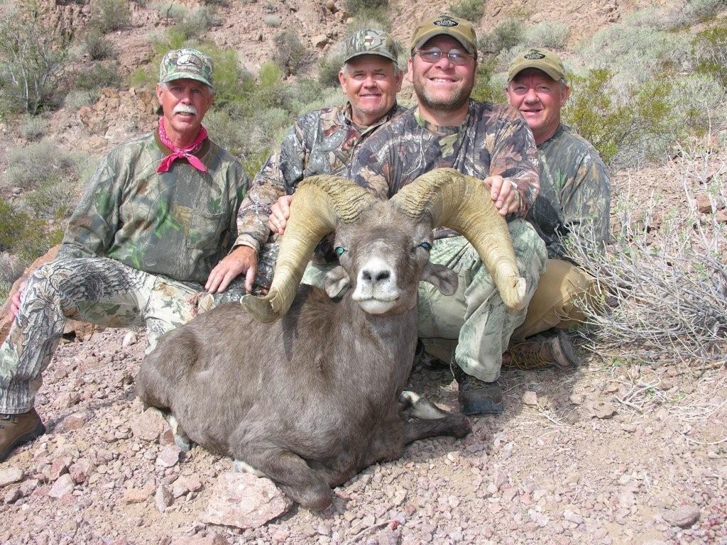 Continue to offer bighorn sheep hunting opportunities.