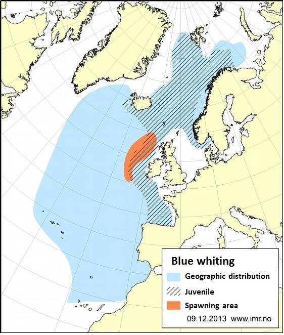 142 ICES WGNAS REPORT 2017 ICES WGNAS REPORT 2017 Figure 3.4.1.1. The geographic distribution of blue whiting in the North Atlantic.
