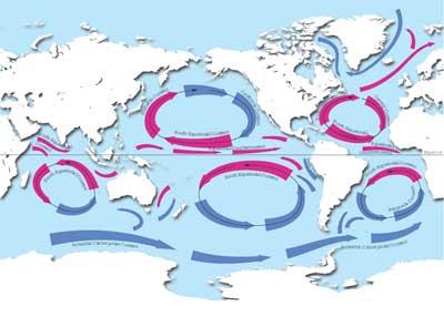 Ocean Currents a. What do you think the red color stands for? (Warm currents). b. What do you think the blue color stands for? (Cold currents). c. What do you think sets the currents in motion?