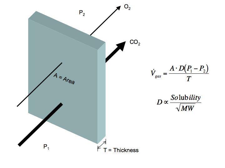 Fick s Law V gas = volume of gas diffusing through the tissue barrier per time, in ml/min A = surface area available for diffusion D = diffusion coefficient of the gas
