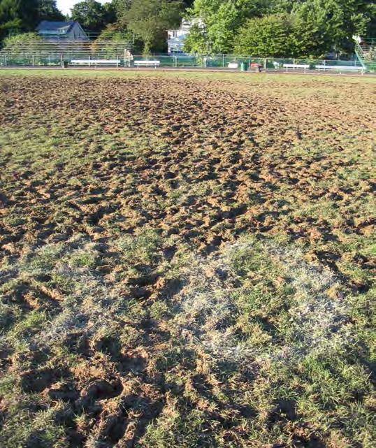 What can I do to reduce weeds on the field? Increasing mowing height will reduce germination and establishment of weeds by reducing the amount of sunlight that reaches weed seeds at the soil surface.