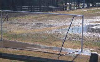 Standing water indicates improper drainage and can lead to unsafe conditions if the field is used before it has sufficient time to dry. Photo courtesy of Grady Miller, Ph.D.