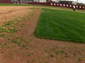 The infield should be free of weeds. Photo courtesy of Jim Reiner. What can I do to improve the condition of baseball/ softball infields?