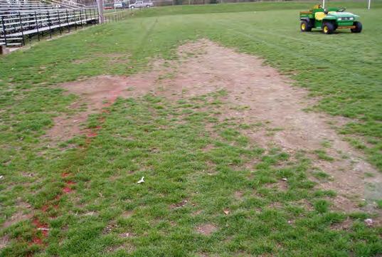 Compacted, bare soil in sideline areas is hazardous for athletes running out-ofbounds. Photo courtesy of Pamela Sherratt.
